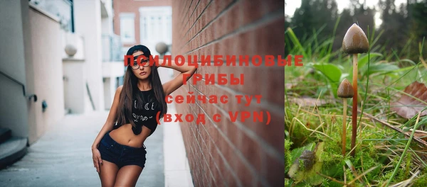 герыч Россошь