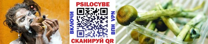 Псилоцибиновые грибы мицелий Невельск